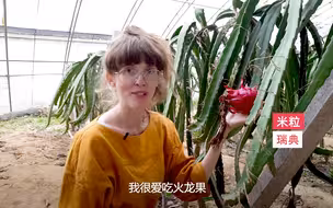 采蔬菜、摘水果，瑞典“洋媳妇”在新农村玩的超开心
