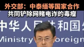 外交部：中泰缅等国家合作共同铲除网赌电诈的毒瘤