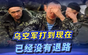 乌军上校：乌空军之所以比俄表现更好，是因为他们别无选择