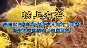 兰州两个村镇榜上有名，甘肃省13村镇入选第十批全国“一村一品”示范村镇