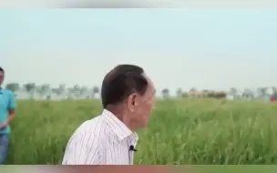 全世界有一半稻田种上我们的杂交水稻