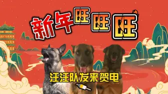 过年了，“公务汪”给大家说两句呗