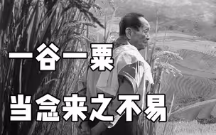 【袁隆平团队成员】您未竟的梦想，有我们，请放心！