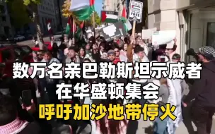 数万名示威者在华盛顿集会 呼吁加沙地带停火