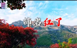 《柿岩红了》——2022“讲好中国故事”创意传播大赛优秀作品