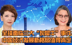 《灰犀牛》作者米歇尔•渥克：全球面临三大“灰犀牛”事件，中国经济发展新格局值得肯定