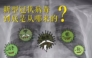 病毒到底从哪来 疫源地扑朔迷离