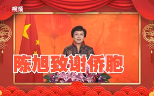陈旭致谢侨胞：新时代发展饱含广大侨胞智慧心血和无私奉献