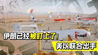 美国制裁，以色列发起袭击！伊朗无人机成了心头刺，已经被盯上