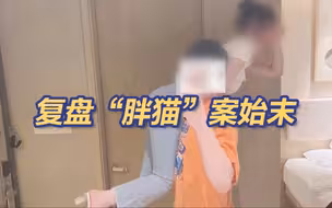 复盘“胖猫”案始末 已处置400余谣言网暴