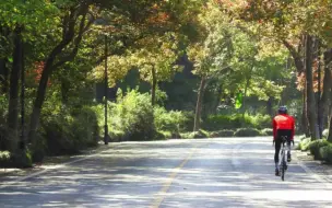 中秋国庆“双节”出行，这些地方可临时停车！