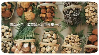 7月的昆明，意味着什么？22℃的温度以及空气中弥漫的菌子香，炒炸蒸煮炖，百般滋味抵不过一个“鲜”字~2024昆明旅游避暑食菌季即将启幕，敬请期待！  #最美中国
