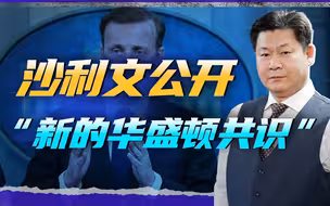 沙利文阐述的美国新经济战略，质疑市场能够高效配置资源