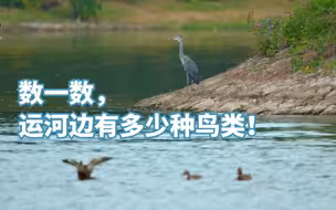 大运河森林公园就是曾经的运河故道