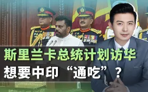 见过莫迪后， 斯里兰卡新总统宣布访华，移交给中国港口必须算数