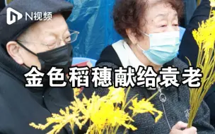 金色稻穗献给袁老，市民自发悼念播撒稻谷缅怀