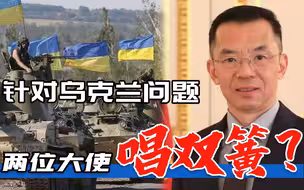 针对乌克兰问题，两位大使为何“不同调”？西方媒体具有误导性