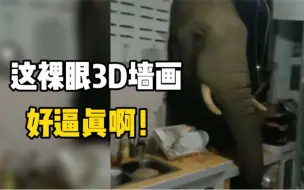 泰国夫妇凌晨被巨大噪音吵醒，跑到厨房惊见大象破墙用鼻吃大米！