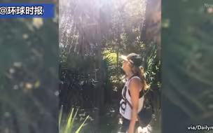 墨西哥一猴子夺帽不成  猛抓女游客头发