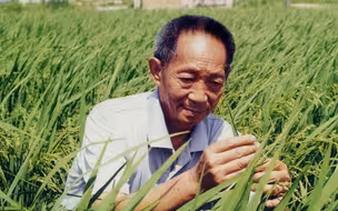 【新闻联播】50秒报道袁隆平先生逝世 珍贵画面曝光