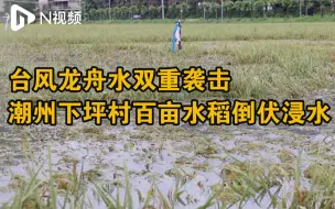 潮州下坪村百亩水稻倒伏被淹，受灾村民每亩最高可补偿1000元
