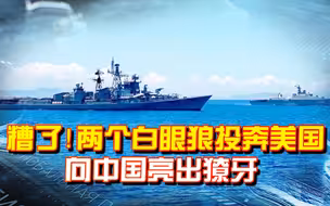 关键时刻，两个白眼狼投奔美国，印越南海军演，向中国亮出獠牙