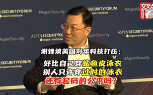 美对华“科技战” 谢锋大使：中国不怕也不回避