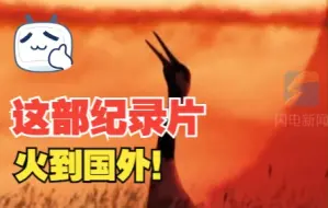 火到国外！这部展现黄河入海口风貌的纪录片也太赞了，快追！