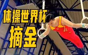 刘洋体操世界杯男子吊环摘金