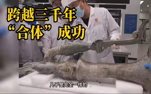 跨越3000年，三星堆这件青铜文明“巅峰之作”合体成功