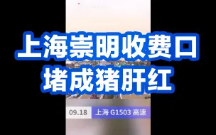 出游的注意啦！上海崇明收费口堵成猪肝红