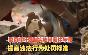 委员呼吁强制实施带薪休年假，提高违法行为处罚标准，对此，你怎么看？
