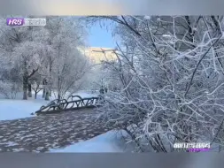 最是冬色满冰城，来“尔滨”赏冰玩雪