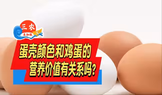 三农未知数丨蛋壳颜色和鸡蛋的营养价值有关系吗？