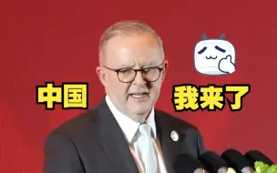 澳大利亚总理访华进行时：个人社交媒体发布视频点赞进博会