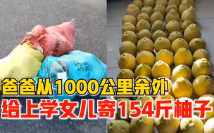 爸爸给1000公里外女儿寄154斤柚子，女儿：很震惊，后来和同学分享了