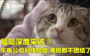 福岛深度采访③ 东电公司划线赔偿 难民都不团结了