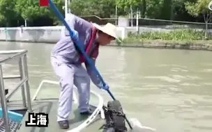 上海苏州河因盲目放生频现大量死鱼，环保部门呼吁不要随便放生