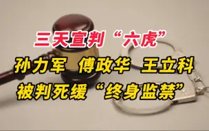 三天宣判“六虎”，孙力军、傅政华、王立科被判死缓“终身监禁”