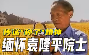 传递“种子”精神，缅怀袁隆平院士