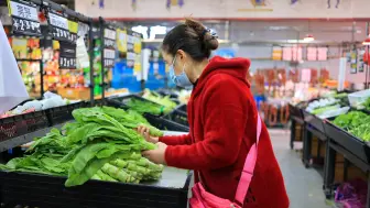 “米袋子”“菜篮子”量足价稳 市民可理性按需购买