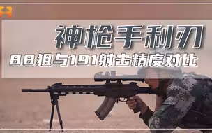 揭秘88狙与QBU191射击精准度，中远距离打击目标谁更胜一筹？