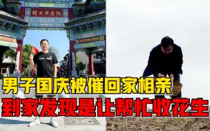 男子国庆被催相亲回家发现是干活，母亲：天气突变十几亩花生要收