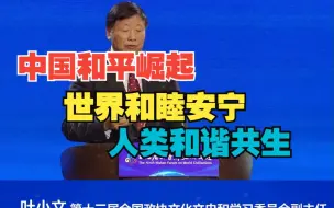 尼山论坛丨第十三届全国政协文化文史和学习委员会副主任叶小文：中国和平崛起 世界和睦安宁 人类和谐共生
