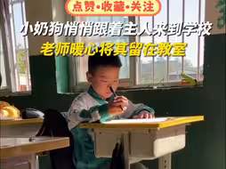 温馨一幕！ 5月24日（采访时间），甘肃陇南，小奶狗悄悄跟着主人来到学校，它很乖，所以老师暖心将其留在教室，放学后再让孩子们带回家。网友：这就是爱的具象化吧！