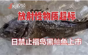 因放射性物质超标，日本禁止福岛黑鲉鱼上市