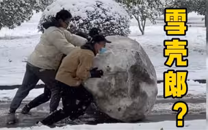 南方同学遇见下雪有多兴奋？滚雪球大到四个男生都推不动