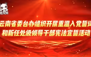 重温入党誓词 砥砺奋进前行