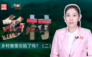 三农锐评丨乡村衰落沦陷了吗？（二）【扬弃传统乡土社会秩序是必然经历的撕裂过程，对一些失范和失序问题，既不能熟视无睹，也不要过分夸大、人为渲染。】