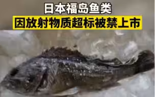 日本福岛鱼类因放射物质超标被禁上市